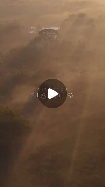 Registro de campo · Registro de campo · Amazônia